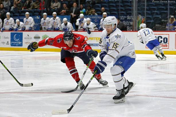 Macon Mayhem 240202_DN_SS_IMG_1683_MHP