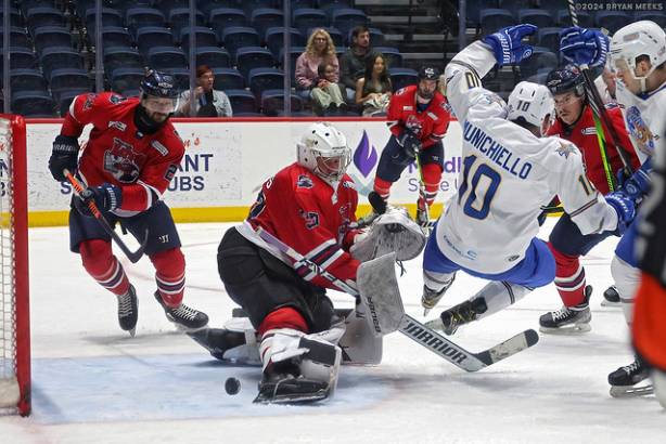 Macon Mayhem 240219_DN_SS_IMG_3482_MHP