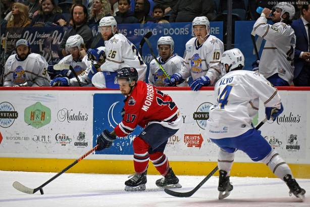 Macon Mayhem 240219_DN_SS_IMG_2285_MHP