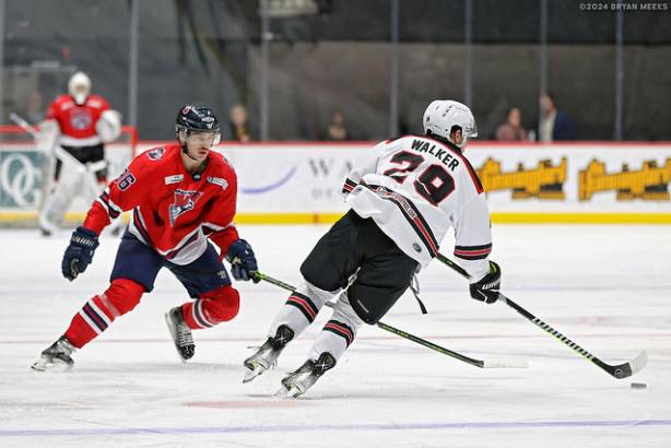 Macon Mayhem 240224_DN_SS_IMG_2045_MHP