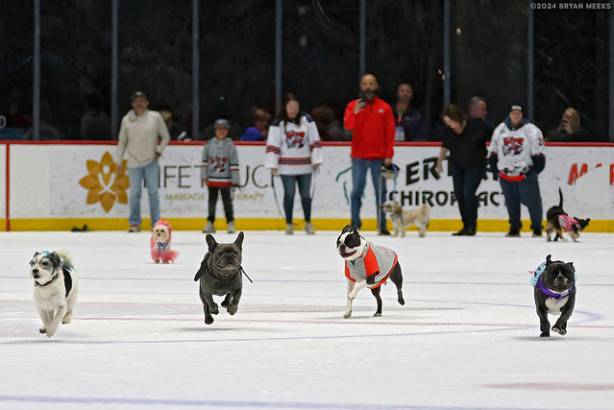 Macon Mayhem 240224_DN_SS_IMG_2855_MHP