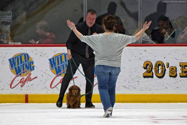 Macon Mayhem 240224_DN_SS_IMG_3019_MHP