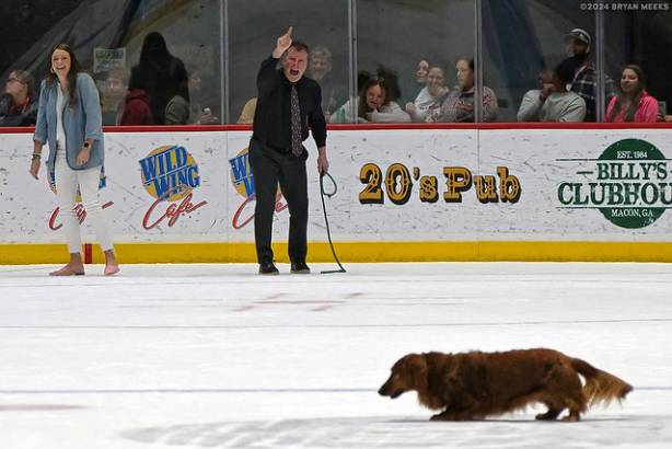 Macon Mayhem 240224_DN_SS_IMG_2963_MHP