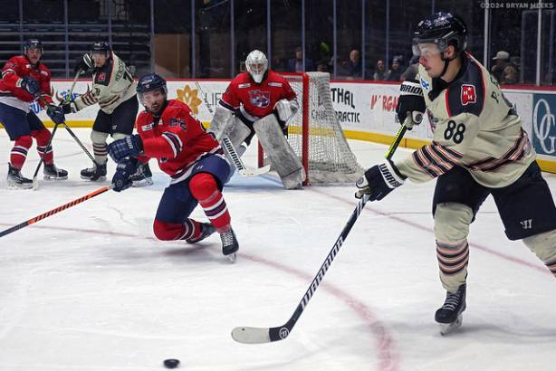 Macon Mayhem 240301_DN_SS_IMG_4080_MHP