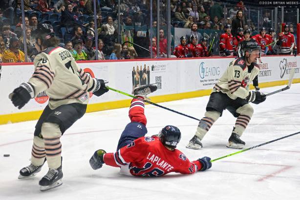 Macon Mayhem 240301_DN_SS_IMG_3883_MHP