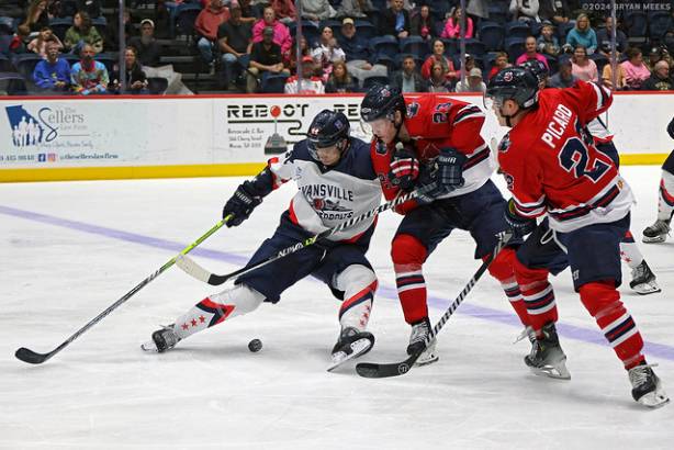 Macon Mayhem 240315_DN_SS_IMG_4763_MHP