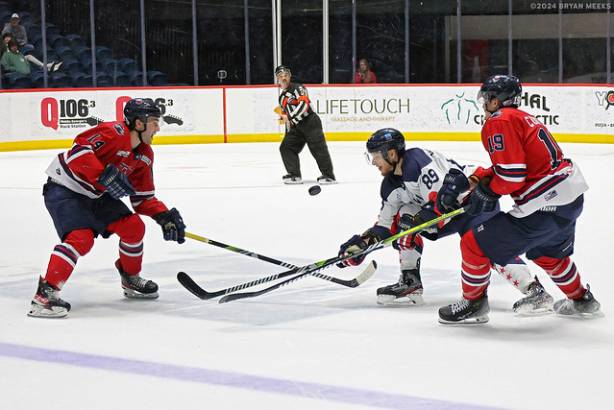 Macon Mayhem 240315_DN_SS_IMG_5963_MHP