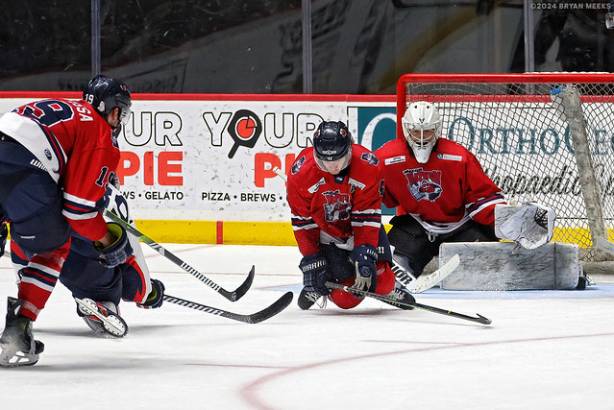 Macon Mayhem 240315_DN_SS_IMG_4903_MHP