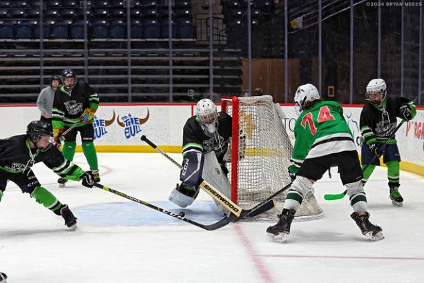 Macon Mayhem 240316_DN_SS_IMG_0019_MHP