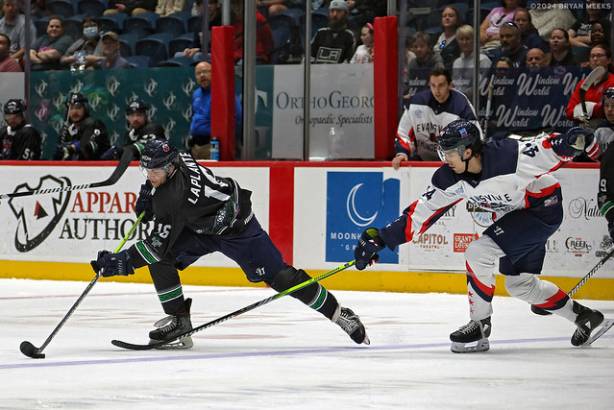 Macon Mayhem 240316_DN_SS_IMG_1918_MHP