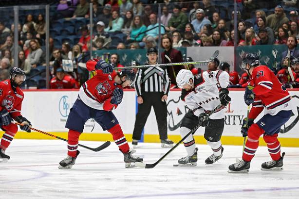 Macon Mayhem 240224_DN_SS_IMG_1806_Portfolio