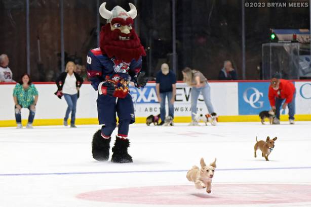 Macon Mayhem 230304_DN_IMG_1516_MHP