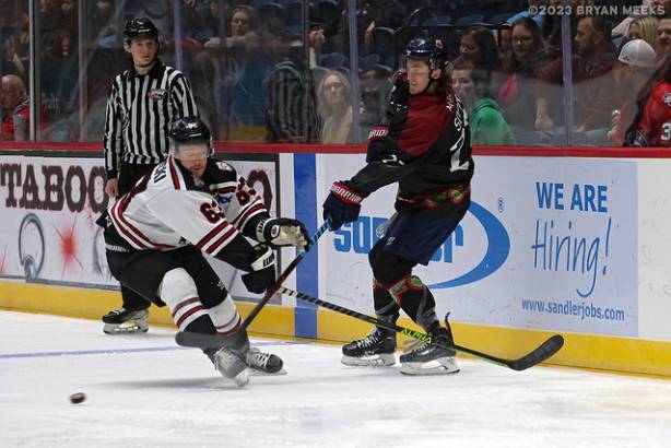 Macon Mayhem 230318_DN_IMG_1836_MHP