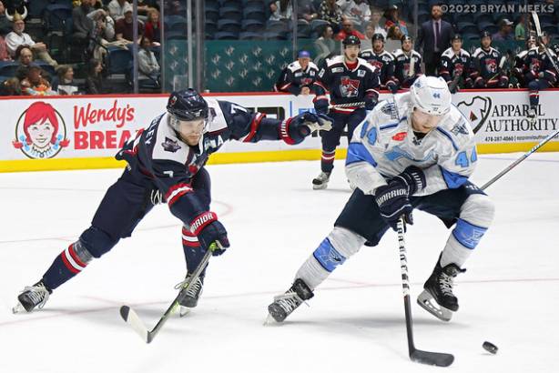 Macon Mayhem 230226_DN_IMG_0808_MHP