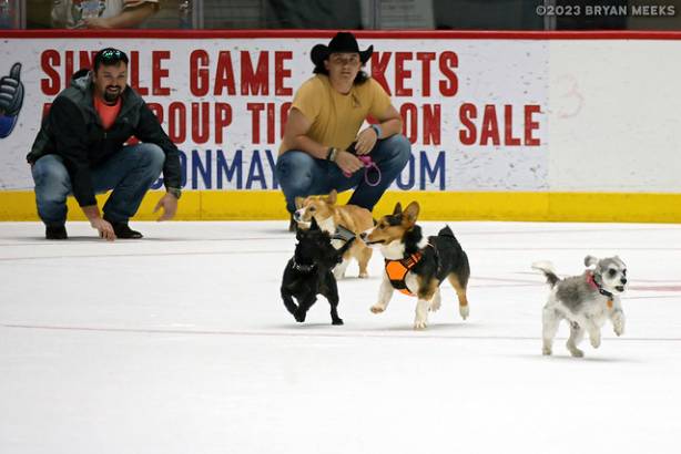 Macon Mayhem 230304_DN_IMG_1410_MHP