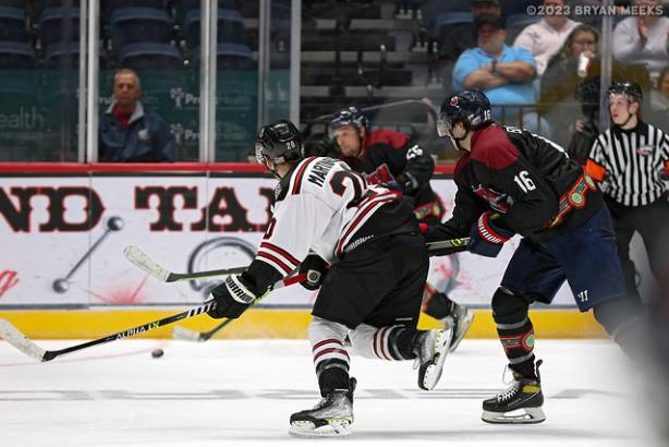 Macon Mayhem 230318_DN_IMG_4487_MHP