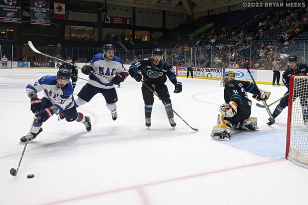 Macon Mayhem 230225_DN_IMG_5790_MHP