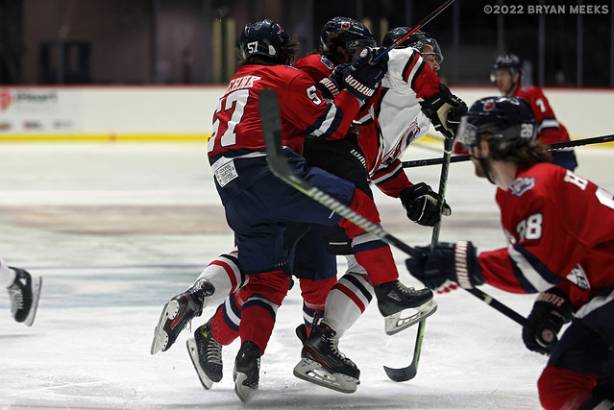 Macon Mayhem 220113_DN_IMG_1588_MHP
