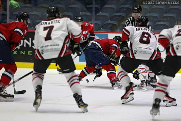 Macon Mayhem 220113_DN_IMG_1106_MHP