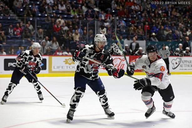 Macon Mayhem 220115_DN_IMG_3936_MHP