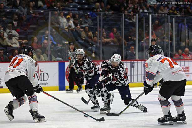 Macon Mayhem 220115_DN_IMG_3377_MHP