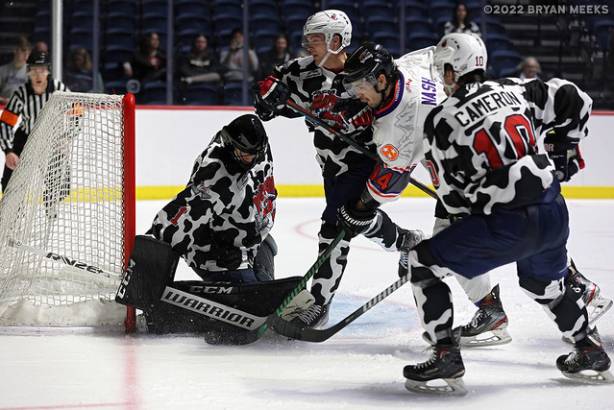 Macon Mayhem 220115_DN_IMG_3988_MHP