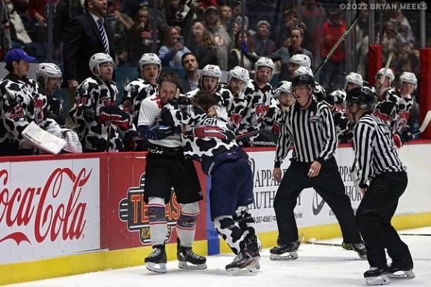Macon Mayhem 220115_DN_IMG_1933_MHP