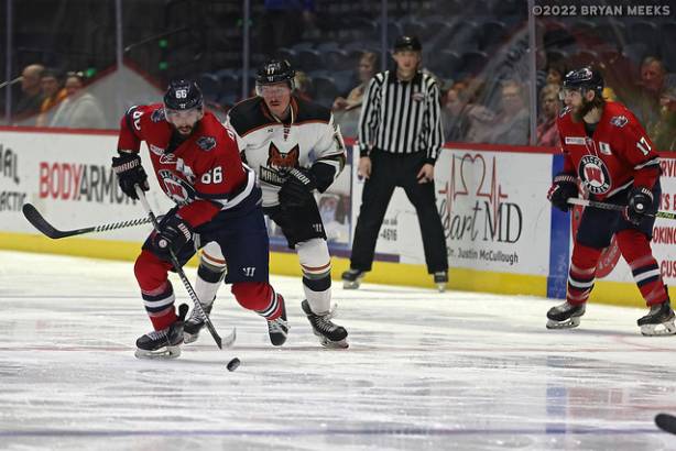 Macon Mayhem 220218_DN_IMG_2733_MHP