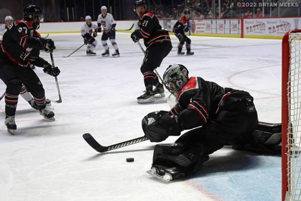 Macon Mayhem 220226_DN_IMG_10128_MHP