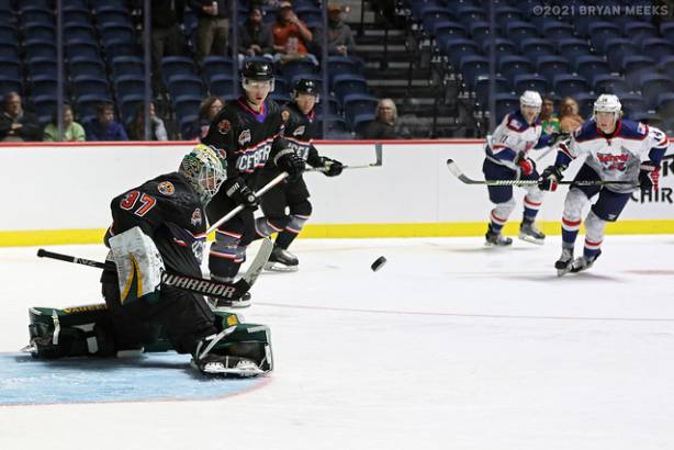 Macon Mayhem 211113_DN_IMG_2085_MHP