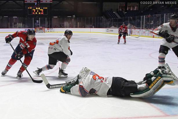 Macon Mayhem 220114_DN_IMG_10073_MHP