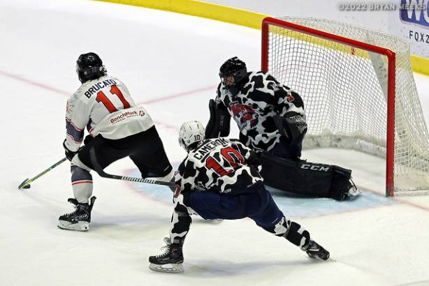 Macon Mayhem 220115_DN_IMG_4249_MHP