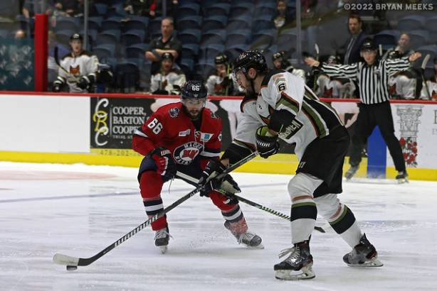 Macon Mayhem 220218_DN_IMG_0701_MHP