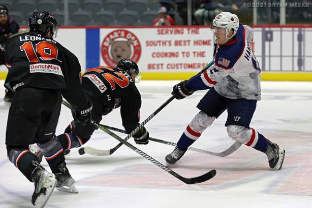 Macon Mayhem 211113_DN_IMG_3577_MHP