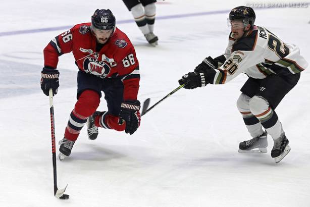 Macon Mayhem 211114_DN_IMG_2514_MHP