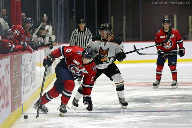 Macon Mayhem 211114_DN_IMG_1280_MHP