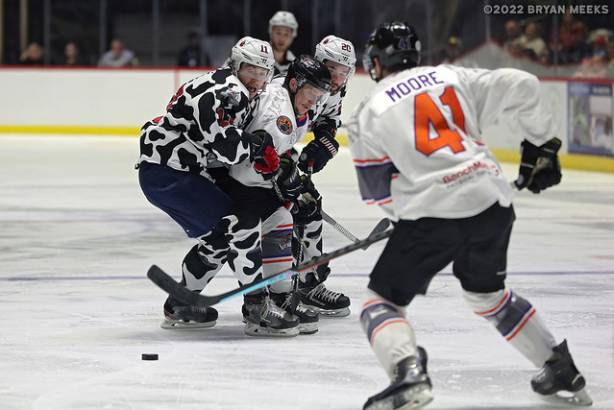 Macon Mayhem 220115_DN_IMG_2007_MHP