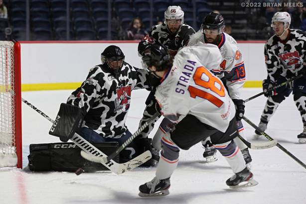 Macon Mayhem 220115_DN_IMG_1243_MHP