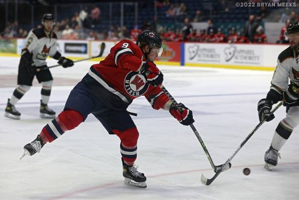 Macon Mayhem 220218_DN_IMG_0936_MHP