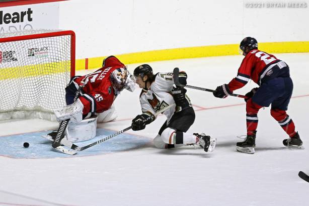 Macon Mayhem 211114_DN_IMG_2442_MHP