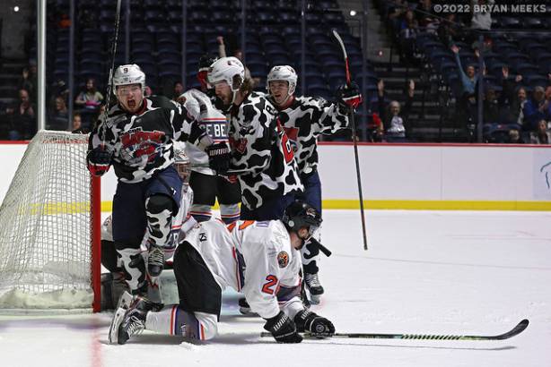 Macon Mayhem 220115_DN_IMG_2545_MHP