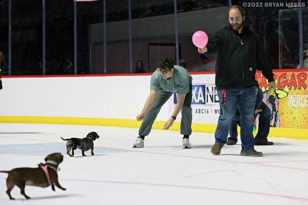 Macon Mayhem 220226_DN_IMG_2642_MHP