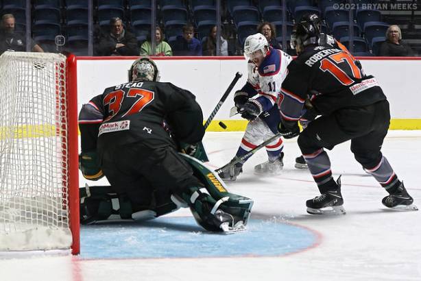 Macon Mayhem 211113_DN_IMG_2019_MHP