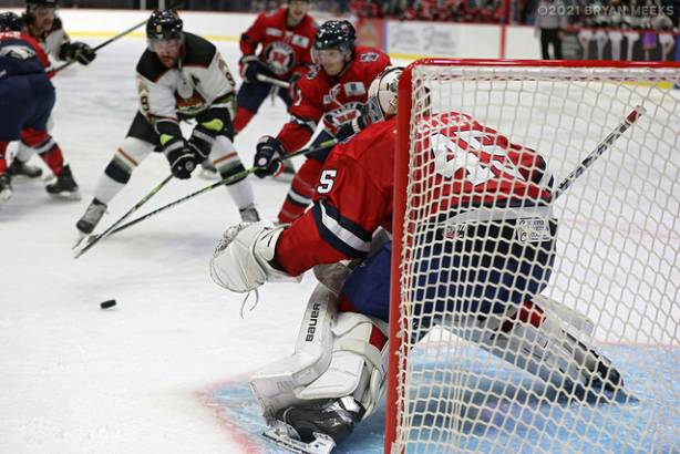 Macon Mayhem 211114_DN_IMG_1389_MHP