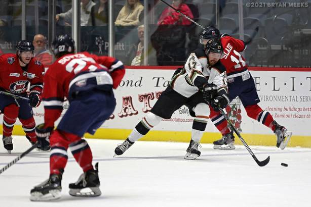 Macon Mayhem 211114_DN_IMG_0936_MHP