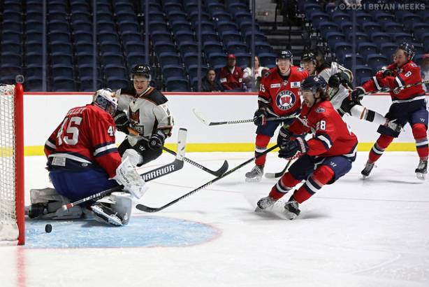 Macon Mayhem 211114_DN_IMG_0542_MHP