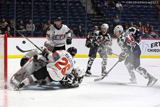 Macon Mayhem 220115_DN_IMG_2529_MHP