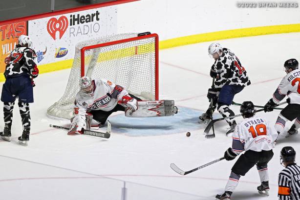 Macon Mayhem 220115_DN_IMG_4335_MHP