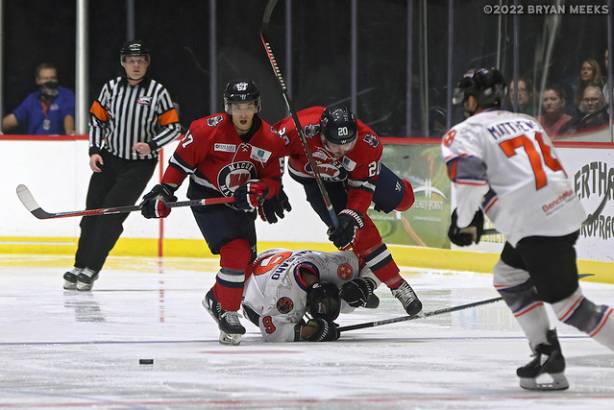 Macon Mayhem 220217_DN_IMG_0383_MHP