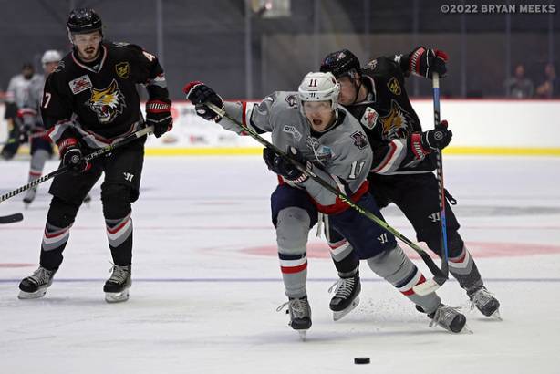 Macon Mayhem 220325_DN_IMG_1550_MHP